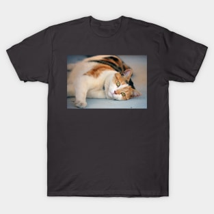 Purrfect Day T-Shirt